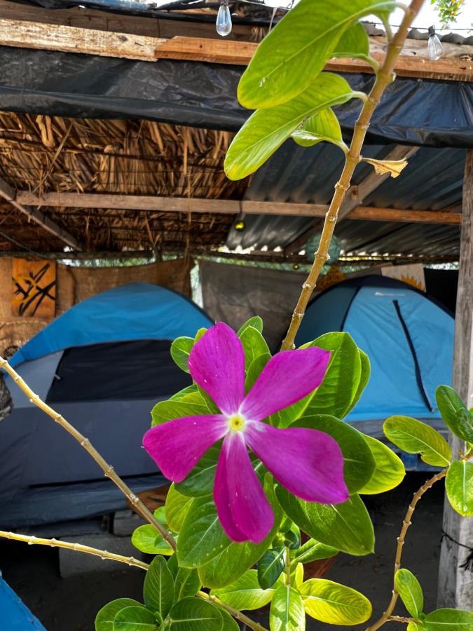 Casa De Los Santos Camping Y Eco Cabanas Isola Holbox Esterno foto